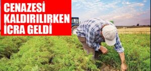 Borcunu Ödeyemeyen Çiftçi İcra Batağında - Mersin Haber Postası