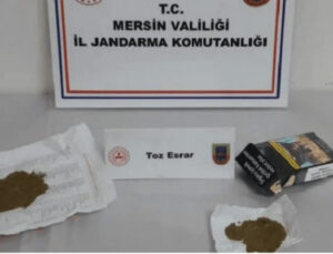 Tarsus, Silifke ve Erdemli’de Uyuşturucu Operasyonu: 10 Kişi Yakalandı
