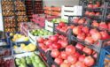 Rusya Pazarı Kapandı, Yaş Meyve Sebze Tarlada Kaldı