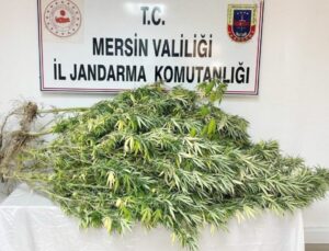 Mersin’de Jandarma’dan Uyuşturucu Operasyonu